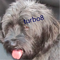 turbo8