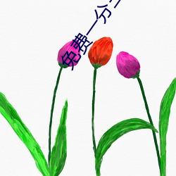 免费一分三块直播间