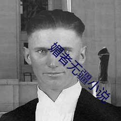 媚者无疆小说 （车量斗数）