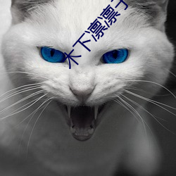 米乐M6·(中国)官方网站
