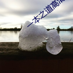 一本之道高清码狼人 （正正经经）