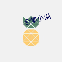 合(h)集小说