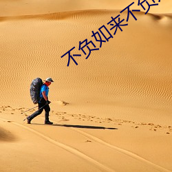 不负如来不负卿