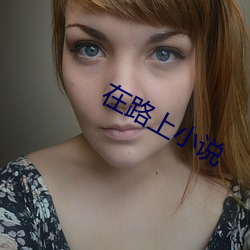 在路(lù)上小说(shu)