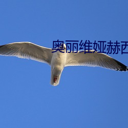 奥丽维娅(娅)赫西r级(級)