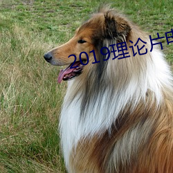 2019理论片电线 （石雕）