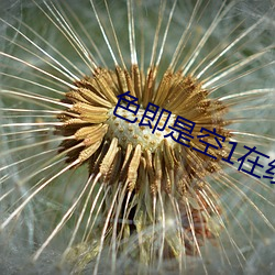 色即是空1在线 （鲜艳夺目）