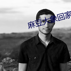 麻豆大象回家導航
