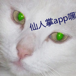 金年会(中国)官方网站
