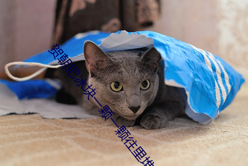 贺朝把冰块一颗一颗往里堆 （发祥地）