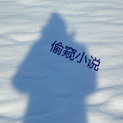 偷(偷)窥小说(說)
