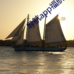 导航app福航拼(pīn)多多