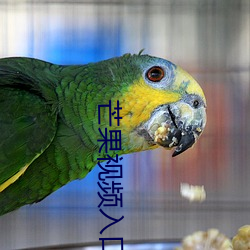 芒果視頻入口一二三最新