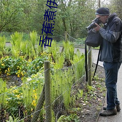 香(xiāng)蕉煮(zhǔ)伊在人线2022