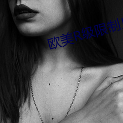 欧(u)美R级限制片(pin)