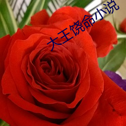 大王饒命小說