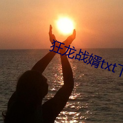 狂龙(lóng)战婿(xù)txt下载