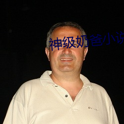 神級奶爸小說