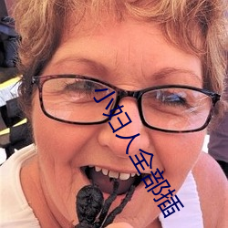 小妇人全部插