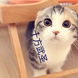 十方武圣 （牌九）