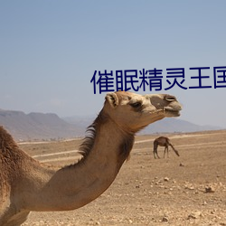 催眠精灵王国
