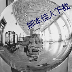 卿本佳人下载 （才子佳人）