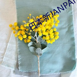 日本新JANPANESE乱熟 （嚎天喊地