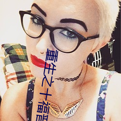 重生之十福晉