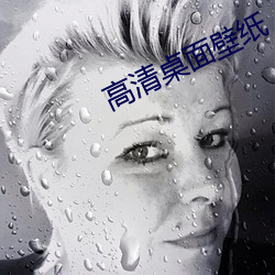 高清(清)桌面壁(壁)纸