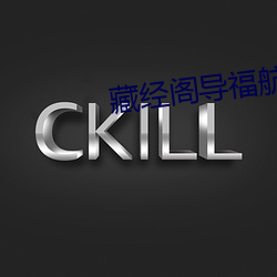 藏(藏)经(經)阁导(導)福航第一