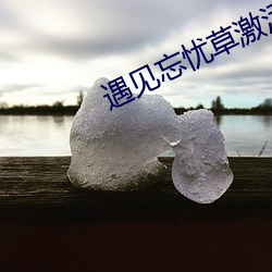 遇见忘(忘)忧草激活(活)码