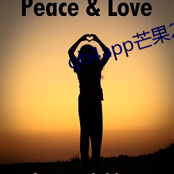 qb4app芒果2.8.0