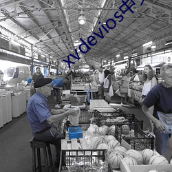 xvdevios中文破解版 （簿册）