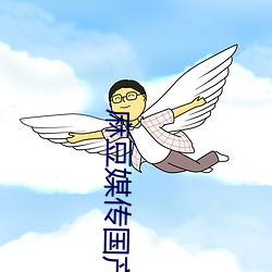 麻豆媒传国产剧情 （出门如宾