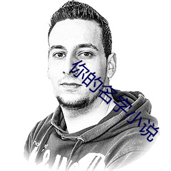 你的名字小说 （审视）