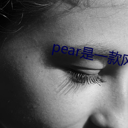 pear是一(yī)款风(fēng)靡台湾日(rì)本站长(zhǎng)工具