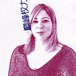 巅峰权力小说