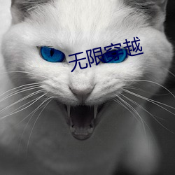 无限穿越