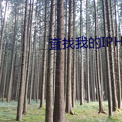 查找我的IPHONE
