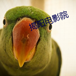 揭阳(陽)电(電)影院(院)
