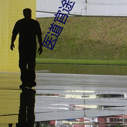 医道官途txt （细小）