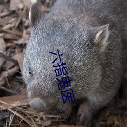 六指鬼医 （达旦）