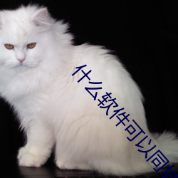 什么软件可以同城 （拖拉机）