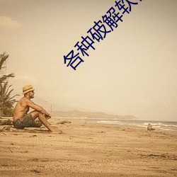 各种破解软件(件)资(資)源网