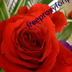 freeproxyforiphone 虞美人