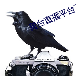 黄台直播平台下载