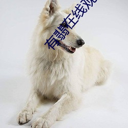 有翡在线观看