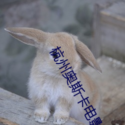 杭州奥斯卡电影院