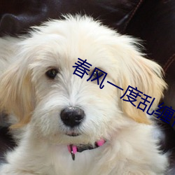 春(春)风一度乱缠情