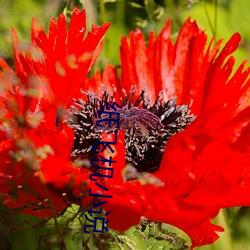 尊龙凯时人生就是搏(中国区)官方网站